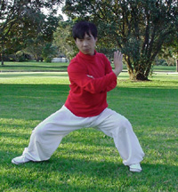 Yang Style Tai Chi form